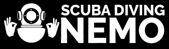 Nemo Logo