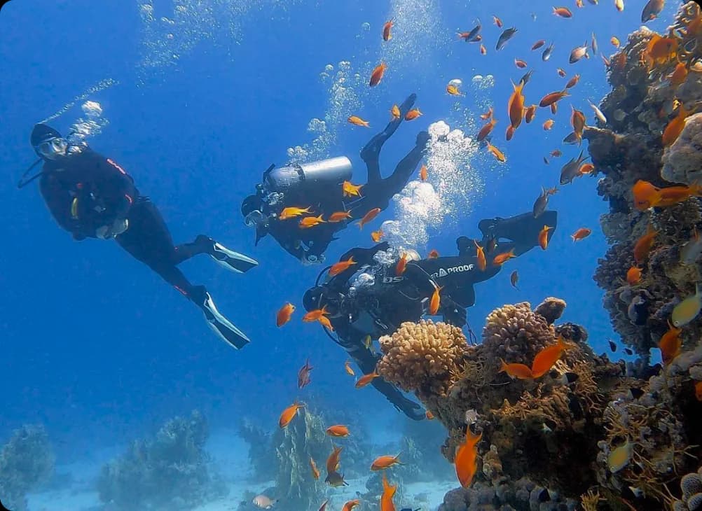 Nemo Resort Team Presentation | Scuba Diving Nemo Resort Halkidiki