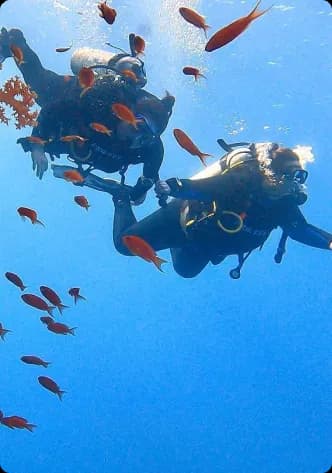 Scuba Diving Team Halkidiki | Scuba Diving Nemo Resort Halkidiki