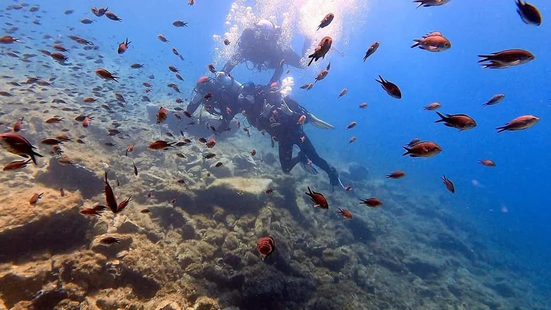 Beginner scuba divers enjoying their first underwater experience in Halkidiki