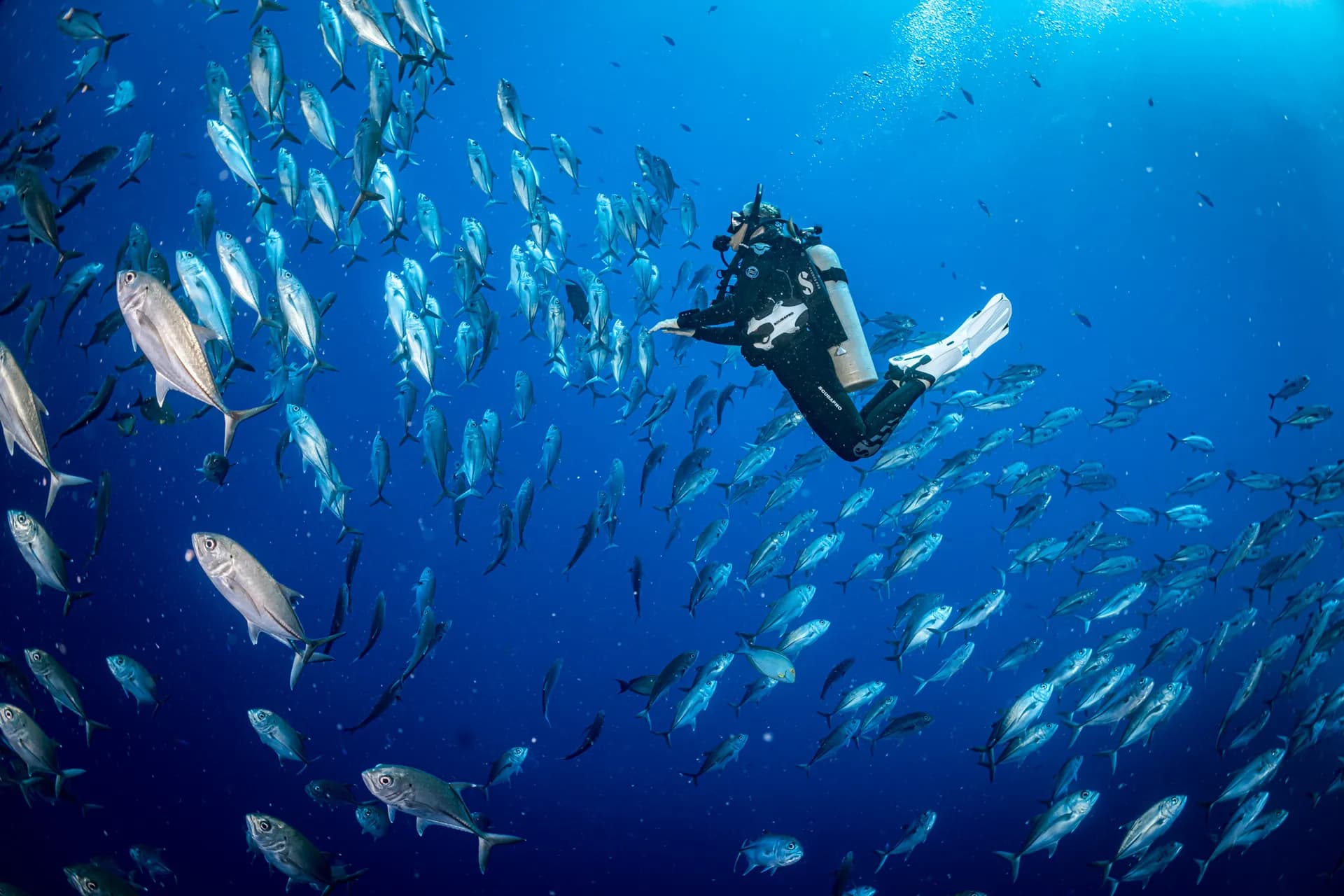 Advanced Padi Diver Exploring Sithonia Greece | Scuba Diving Nemo Resort Halkidiki