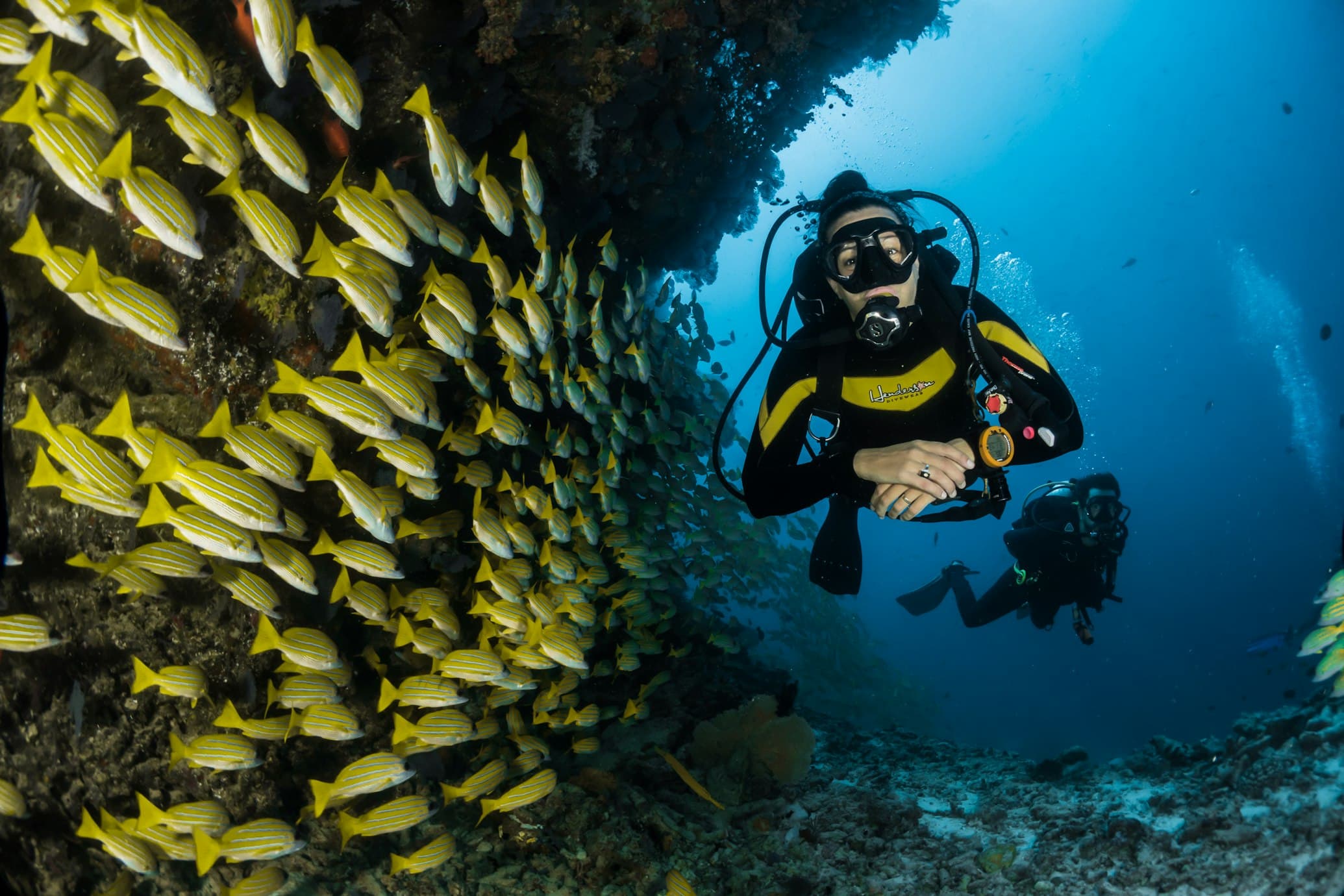 Scuba diving background