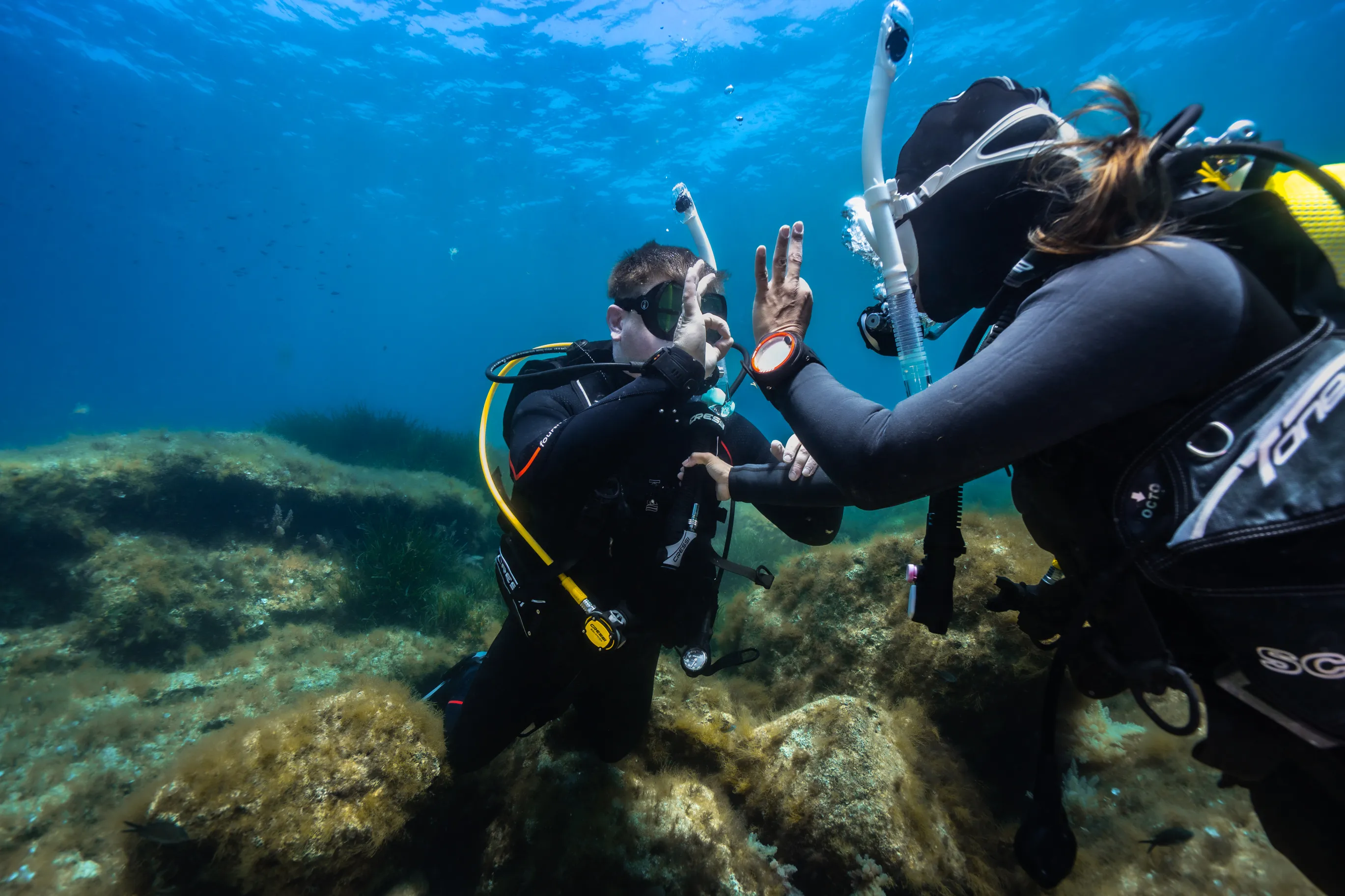 PADI Certification Courses