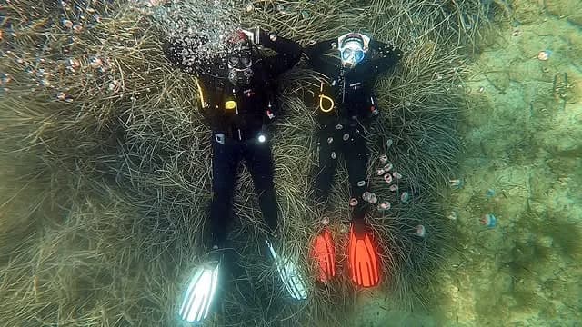 Explore Marine Life Halkidiki | Scuba Diving Nemo Resort Halkidiki