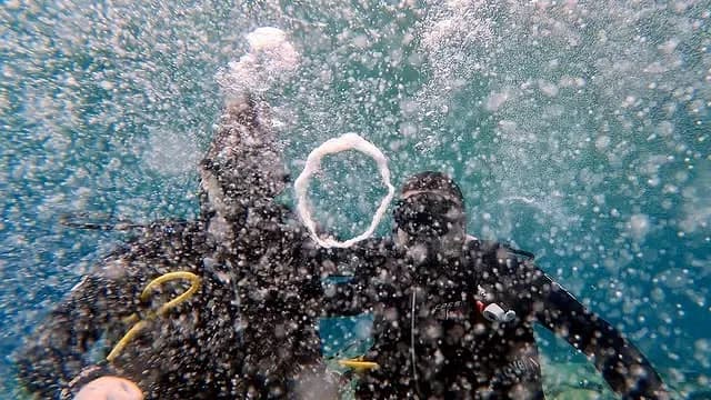 Kelyfos Island Turtle Island Diving | Scuba Diving Nemo Resort Halkidiki