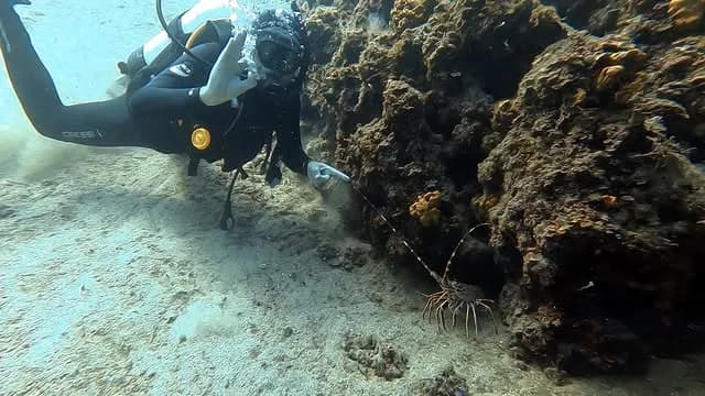 Padi Open Water Diver Training Greece | Scuba Diving Nemo Resort Halkidiki
