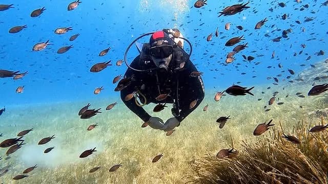 Scuba Diving Friends Boat Dive | Scuba Diving Nemo Resort Halkidiki
