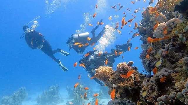 Scuba Diving Gear Setup Halkidiki | Scuba Diving Nemo Resort Halkidiki