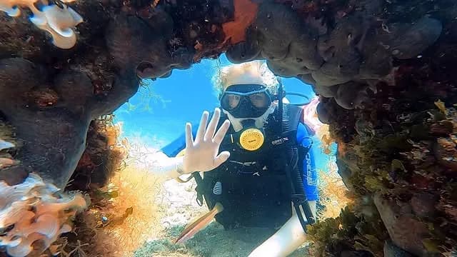 Scuba Diving Holiday Nemo Resort | Scuba Diving Nemo Resort Halkidiki