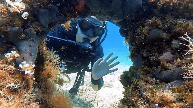 Summer Diving Vacation Greece | Scuba Diving Nemo Resort Halkidiki