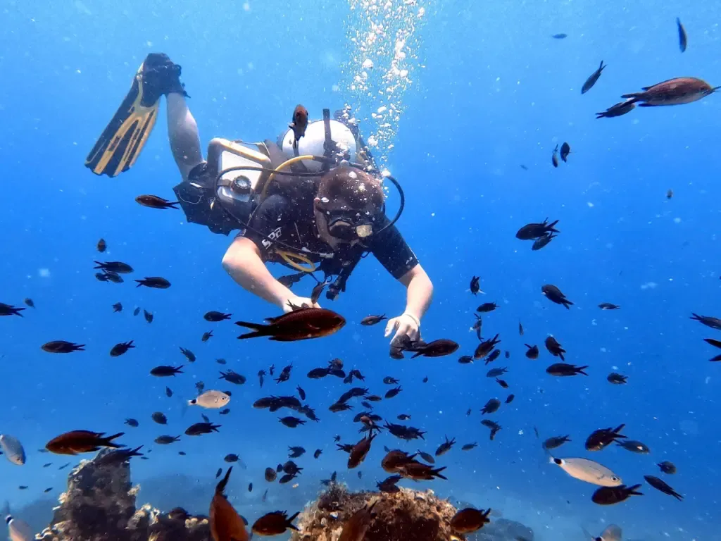 Scuba diving trips and pricing packages at Nemo Dive Center